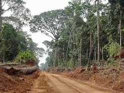 Access to funds for African countries through the New Development Bank would mean significant infrastructural development claims President Jacob Zuma. Image: