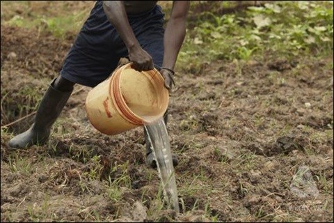 [Climate changing the face of agriculture]: Part 3 - Partnerships are key