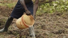 [Climate changing the face of agriculture]: Part 3 - Partnerships are key