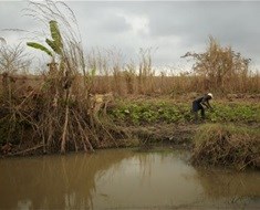 [Climate changing the face of agriculture]: Part 3 - Partnerships are key