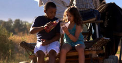 (Image extracted from the All Gold website)