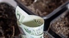 Foreign land ownership not a major issue