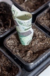 Foreign land ownership not a major issue