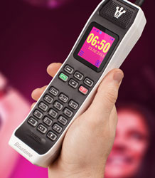 The Brick. (Image extracted from the )