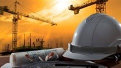 Harding Allison admits to collusive tendering