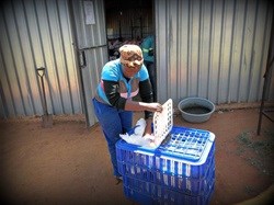 FTFA celebrates female farmer this Women's Day