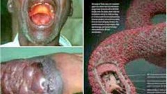 The Ebola virus that is spreading in West Africa may reach South Africa's shores via infected sailors working on board ships that stop at SA's ports. Image: