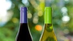 Chenin Blanc becomes Seriously Cool