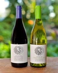 Chenin Blanc becomes Seriously Cool