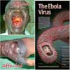 SA's Ebola fears but no confirmed cases