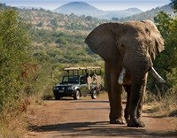 Bush breaks leave a legacy