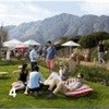 Franschhoek Uncorked ushers in summer