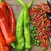 Get ready for Bombay Brasserie's Chilli Festival