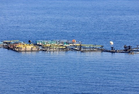 R2bn aqua-farming facility to create jobs