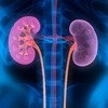 Free screenings to raise awareness of kidney disease