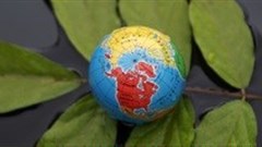 Amendments to Environmental Act to take effect