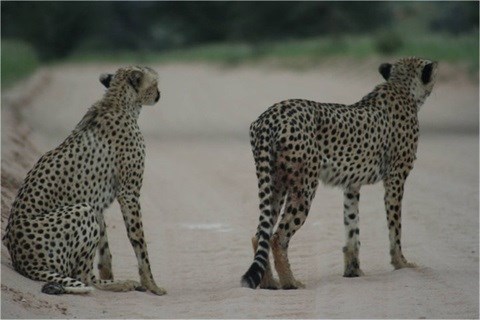 Photographer: Jessica Taylor