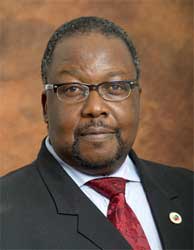 Police Minister Nkosinathi Nhleko has called on communities around South Africa to blow the whistle of people who conspire to kill members of the SAPS. Image: GCIS
