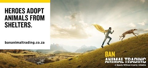 Ad industry supports 'Heroes Adopt' campaign