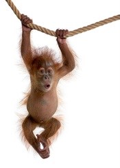 Help! No one is listening!