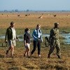 Kafue National Park in Zambia offers the ideal safari getaway