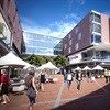 Newtown Junction shopping centre opens this week