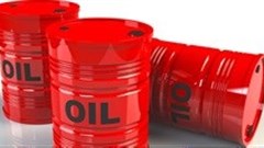 Fossil fuel divestment brightens climate summit