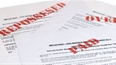 Debt collection and flight, fight or freeze concept