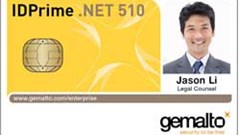 Apple's new iPads are using chips that are embedded directly into the phone to securely handle transactions and this move poses a threat to French company Gemalto according to analysts at Barclays. Image: Gemalto