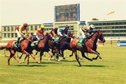 Bourbon, burgers and beers at Turffontein race day