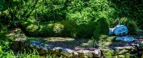 Show gardens event raises R162k for charity