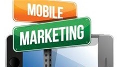 Survey reveals African consumers' perceptions of mobile marketing