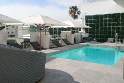 The Marly, it's just magical