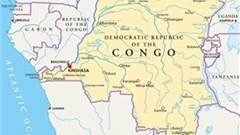 DRC undergoes structural transformation in agriculture