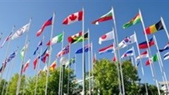 Translation as cost or opportunity - lessons from the journeys of others