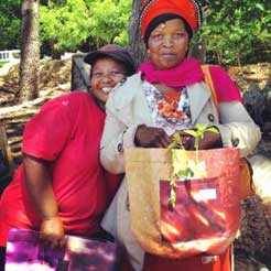 Converse Africa and Tractor Outdoor donate GROWbag planters to urban farming communities in Cape Town