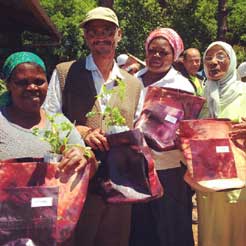 Converse Africa and Tractor Outdoor donate GROWbag planters to urban farming communities in Cape Town