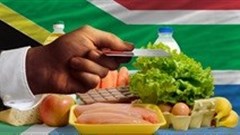 The new South African consumer