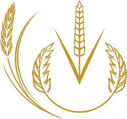 Grains end lower on softer CBoT prices and rain expectations