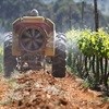 Report quantifies impact of SA wine industry on GDP, job creation