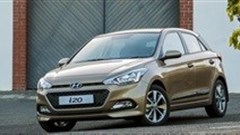 Dressed up and ready to impress