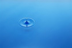 WRC launches reports on Water Sensitive Design