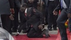 Mugabe falling for Nando's? It's a fake, says fast-food chain