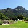 Kirstenbosch attracts one million visitors