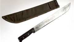 The attack has been widely condemned. (Image: Public domain)