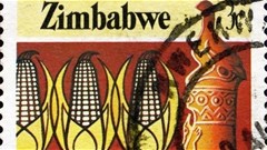 Mugabe admits land reform blunder