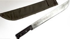 Bangladesh arrests chief suspect in US blogger murder