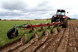 Base new land policy on future, not past