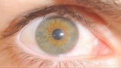 As hacking grows, biometric security gains momentum