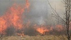 Why newspapers and magazines are giving print a bad name